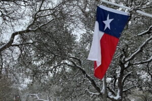 Winter storm Texas flag