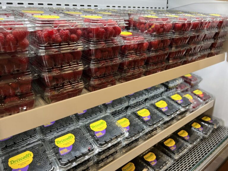 Plastic containers of raspberries and blackberries stacked on refrigerated grocery store shelves.