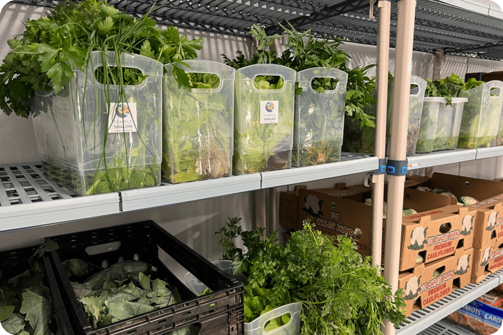 produce sitting on shelf in walk in fridge