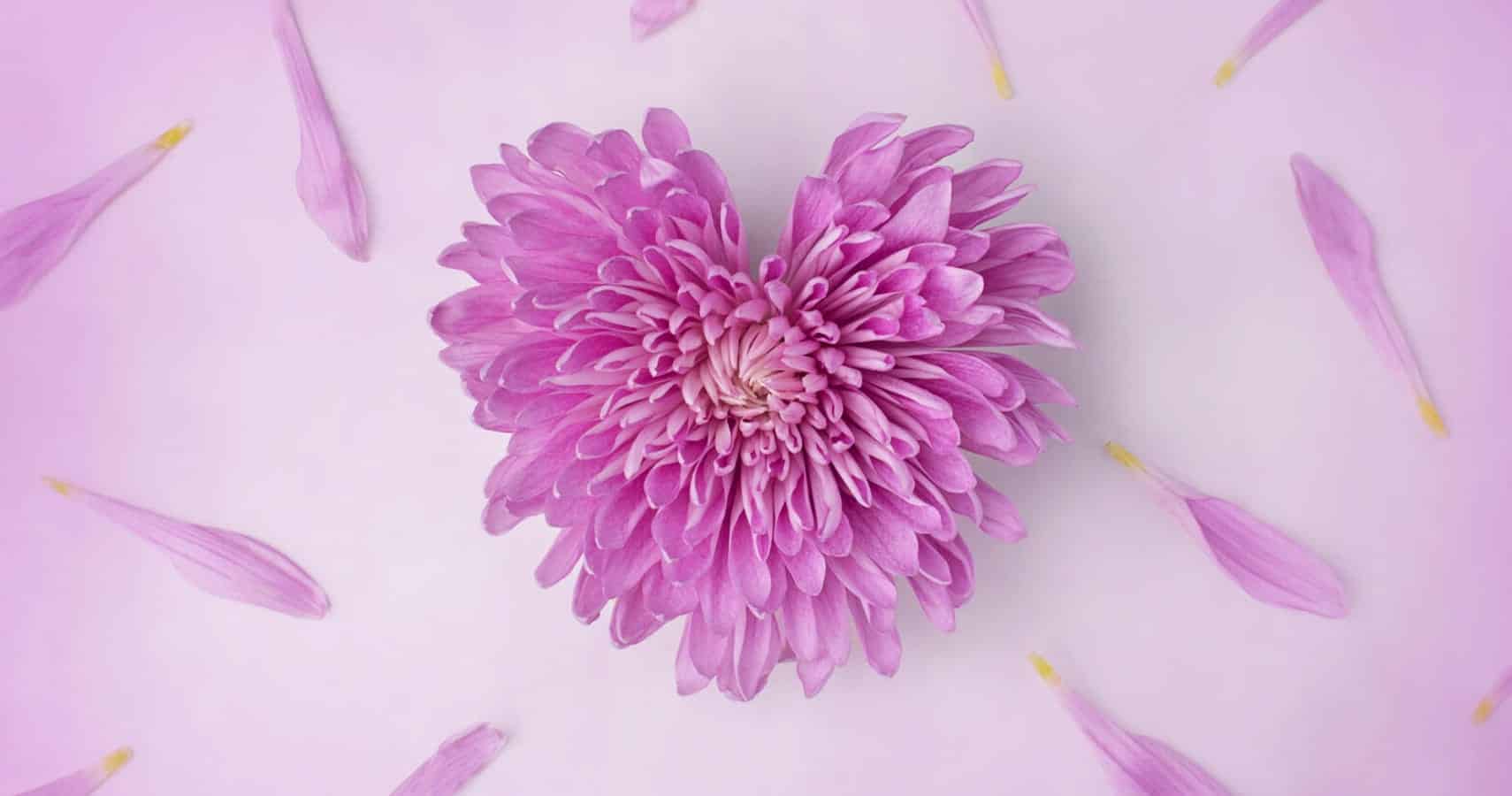 The Fragility of Life